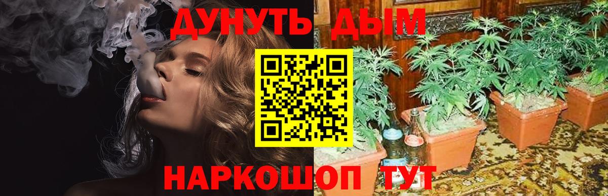 Камышлов  Канабис гибрид  Вход с VPN  Каннабис White Widow 